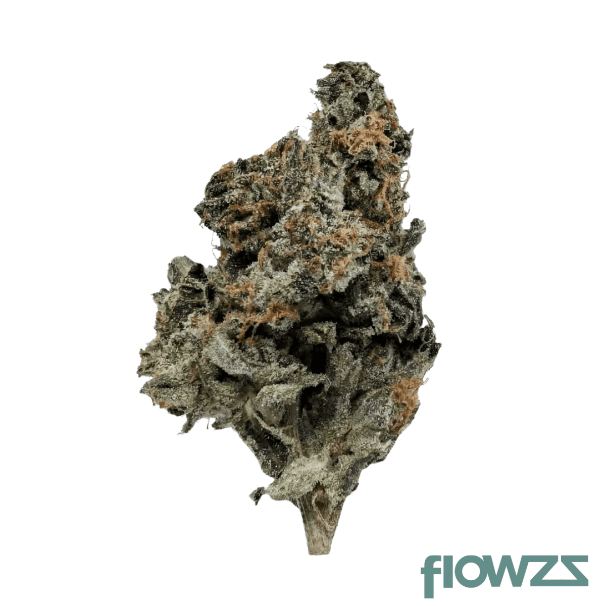 Abby Leaf 24/1 FFC Produktfoto