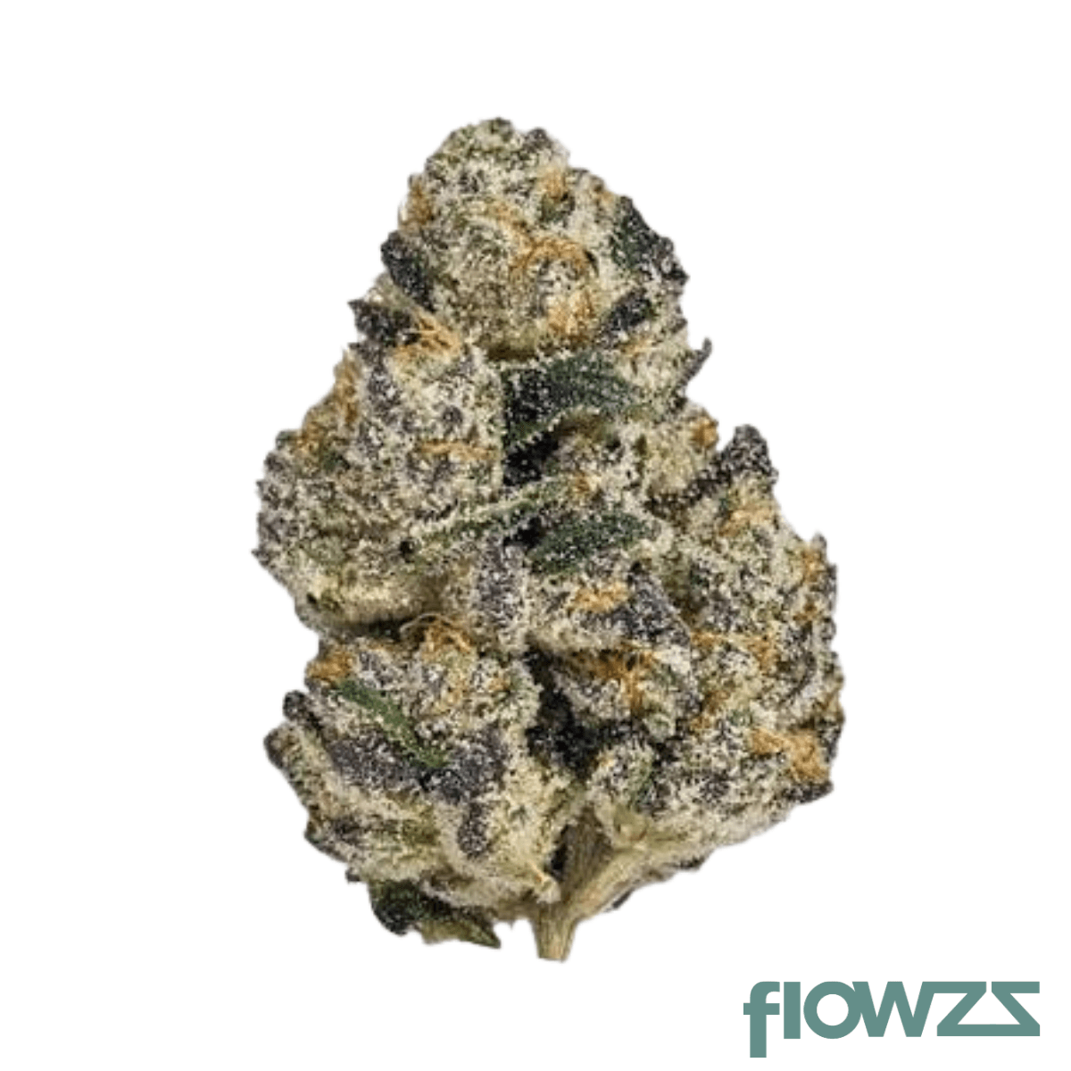 Canopy CME 28/0.5 Produktfoto