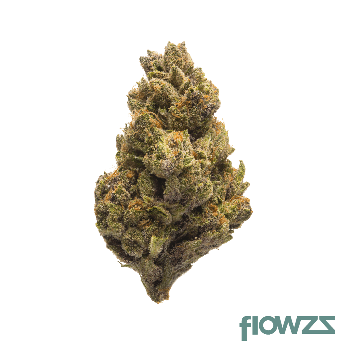 Suprobion PC 18/1 Purple Cookie Produktfoto