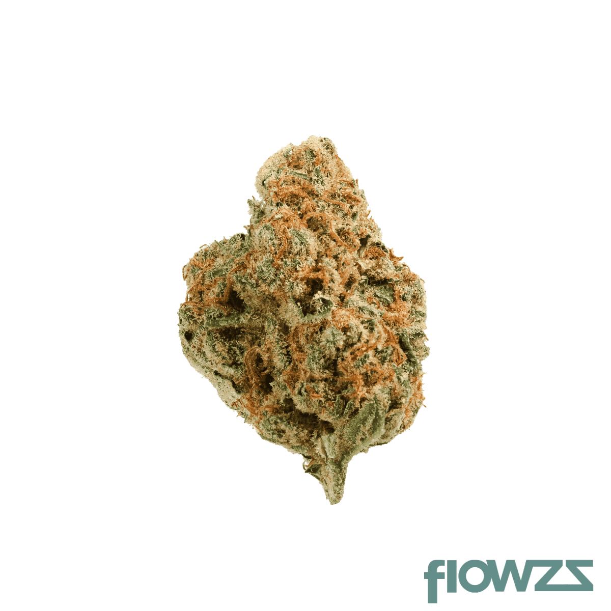 Vayamed Day 19/1 TNG Tangie Produktfoto