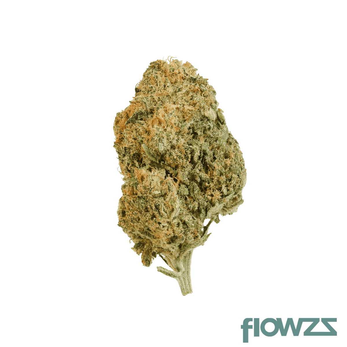 Vayamed Balanced 12/8 CAN Cannatonic Produktfoto