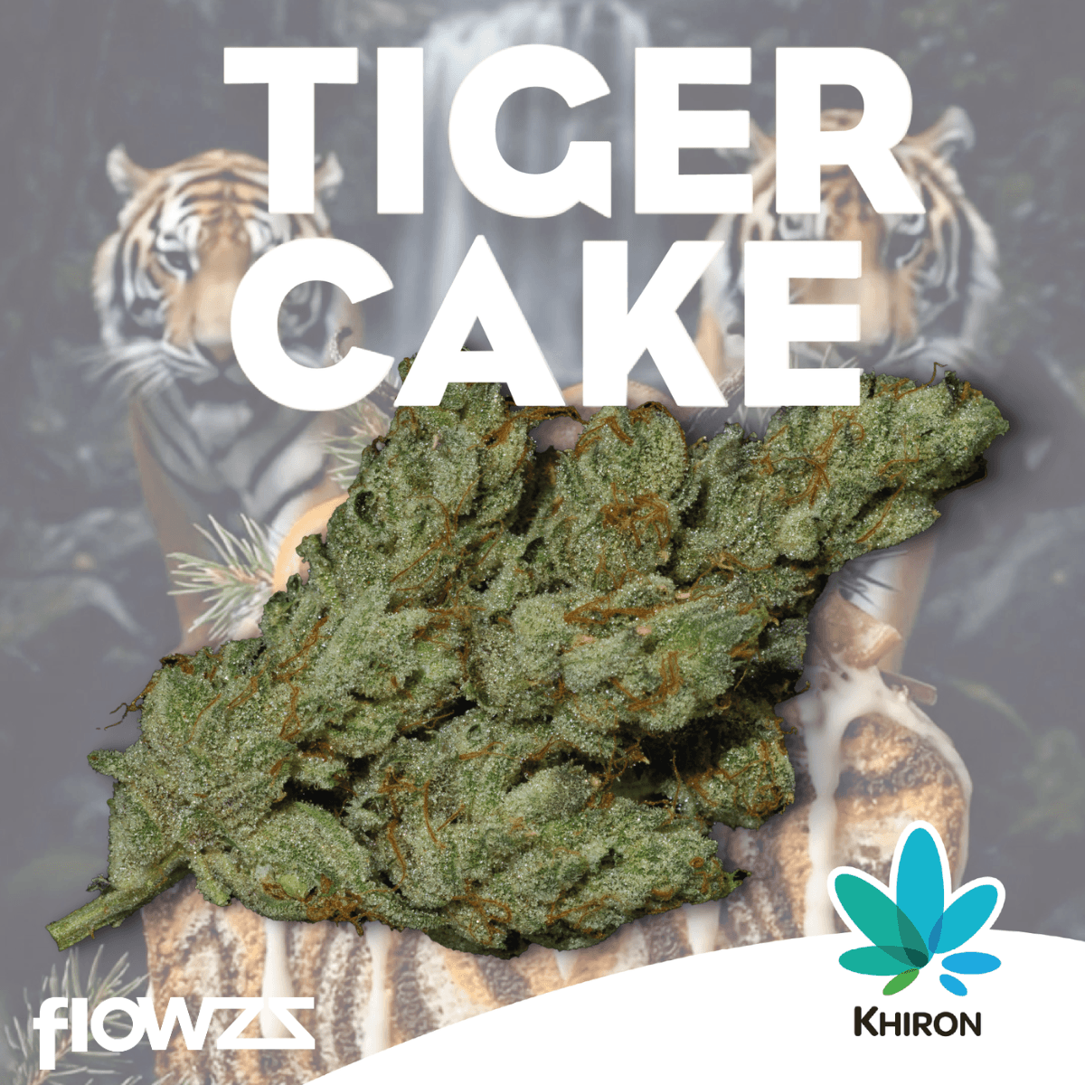 KHIRON TC 30/1 Tiger Cake product photo