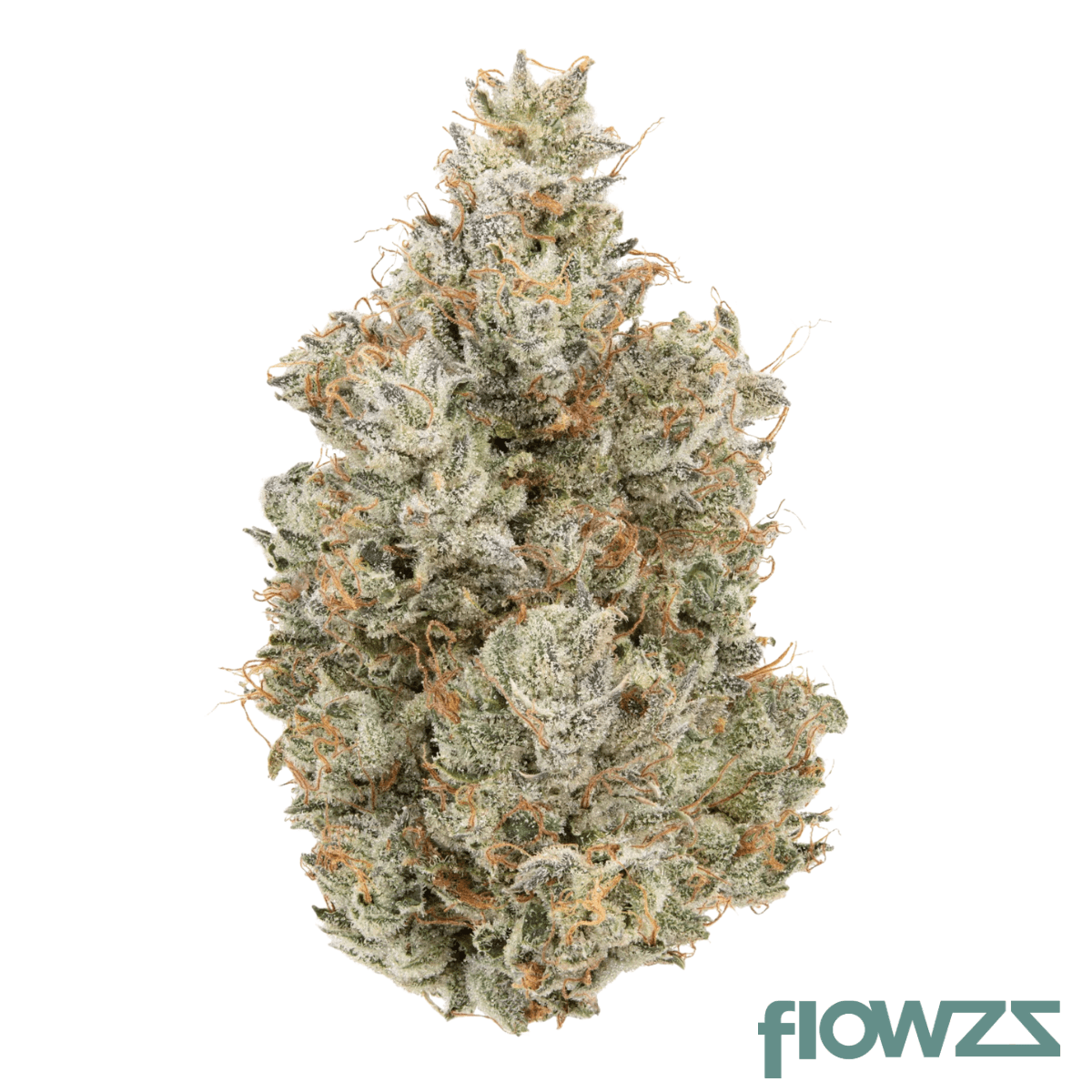 LIT 25/1 PCO Platinum Cookies Produktfoto