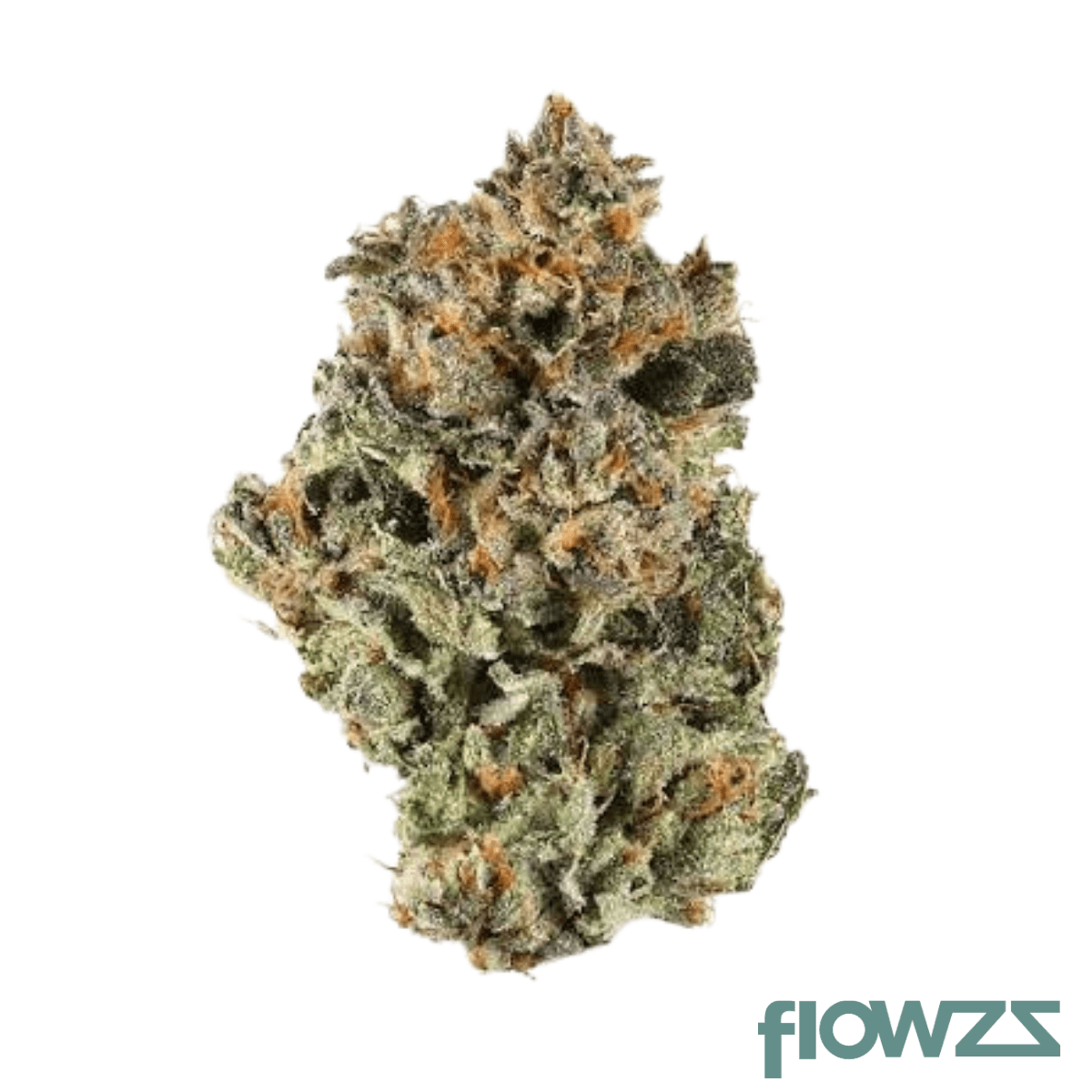 APEX GUS-CA 32/1 White Gushers Produktfoto