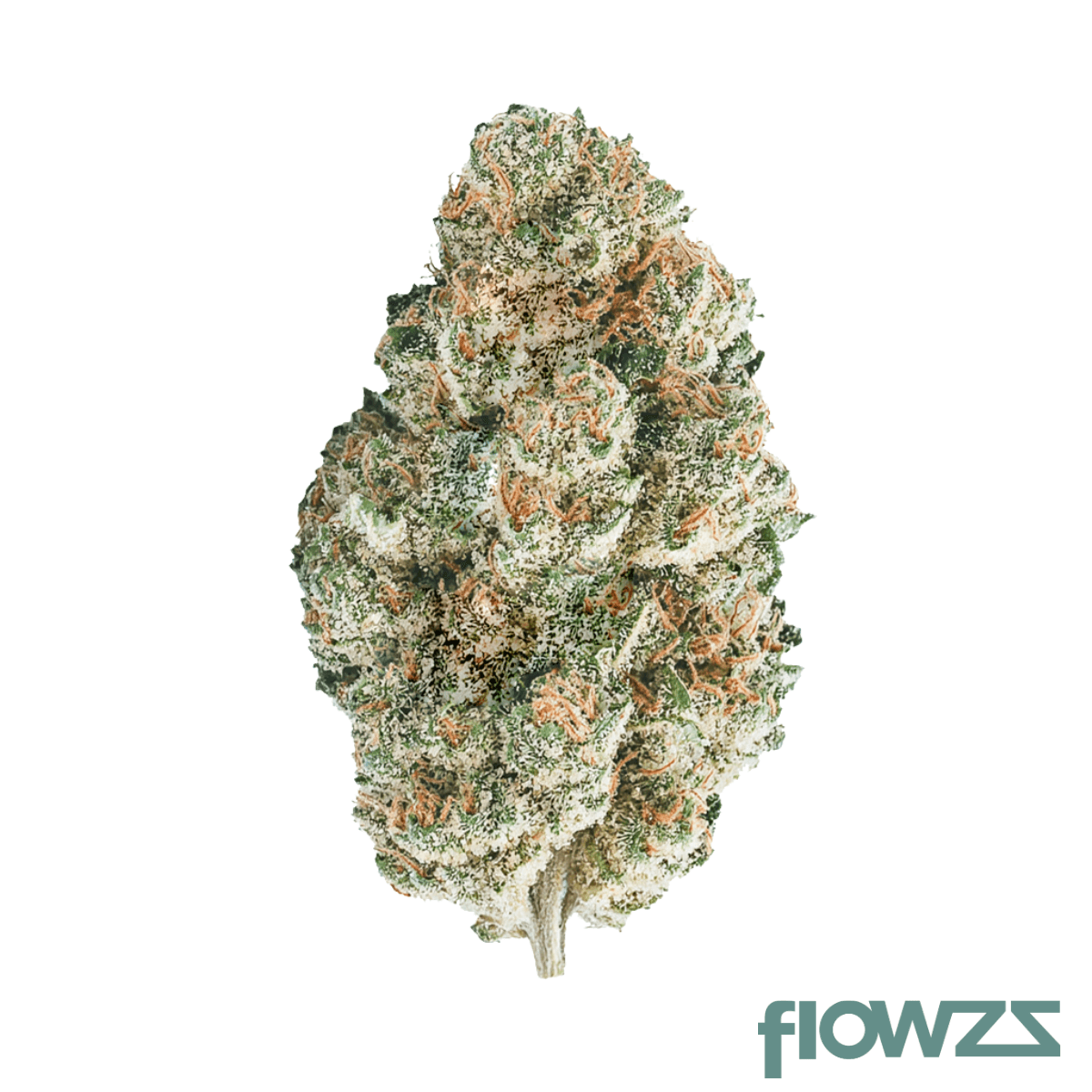 MGF Pop Up No. 7 Rich King's Kush Produktfoto