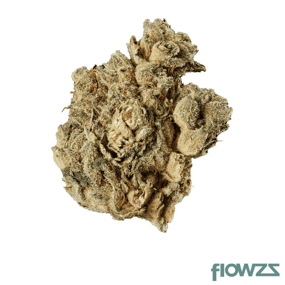 Tilray Craft Cannabisblüten THC28 PPV Produktfoto