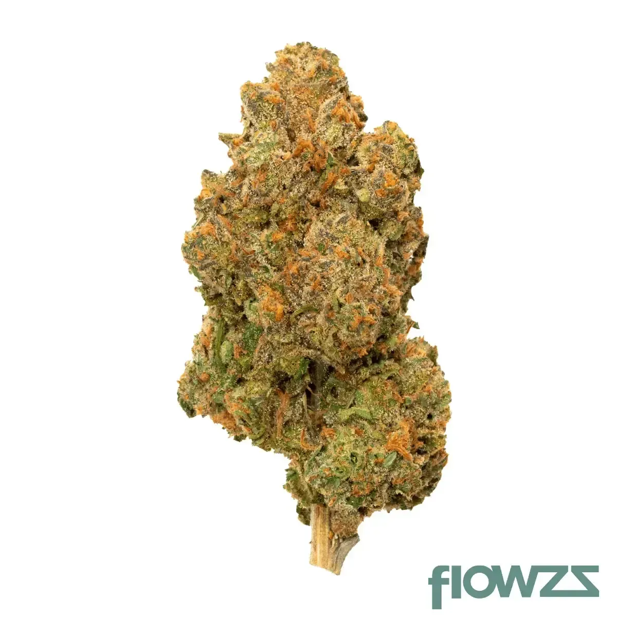 Cannamedical Indica Forte SM Pineapple Express Produktfoto