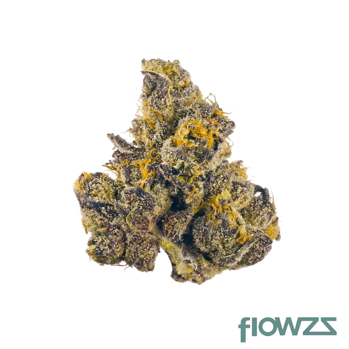 CR Regular Drop GMO x Gush Mints Produktfoto