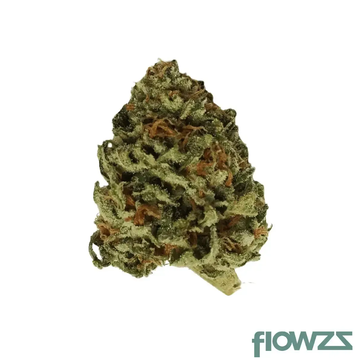THC AKUT FB 27 KM Animal Mintz Produktfoto