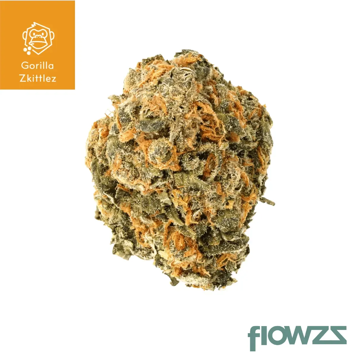 Cannamedical Hybrid Forte 22/1 NM GZ product photo