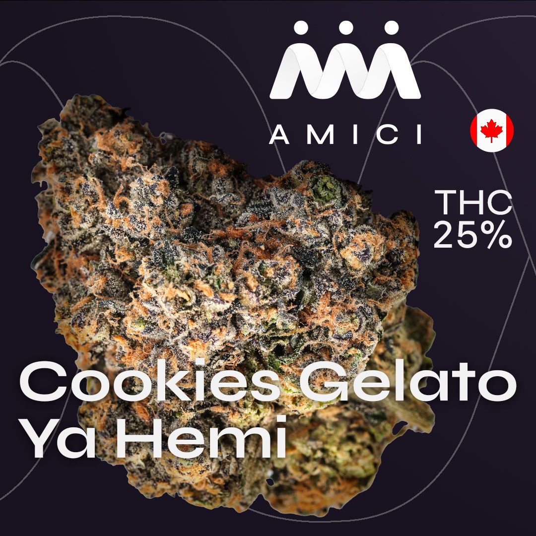 Amici 25/1 YHE Cookies Gelato YaHemi product photo