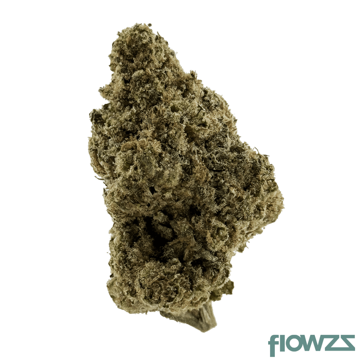 Cali-X Gazzy 26/1 Produktfoto