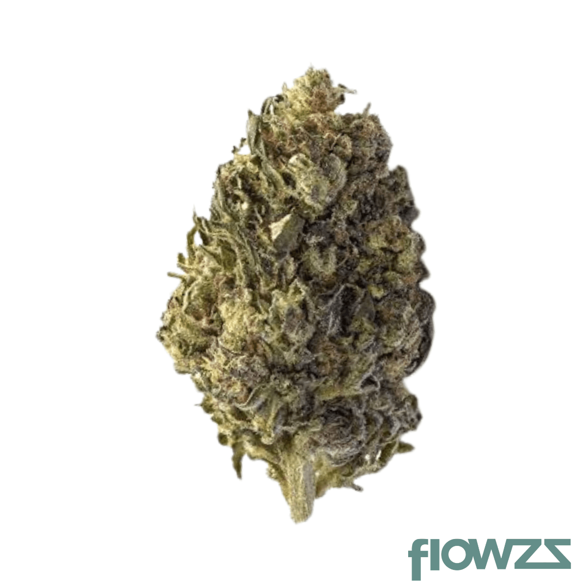 Cannamedical Indica Light ZAF Biscotti Mintz Produktfoto