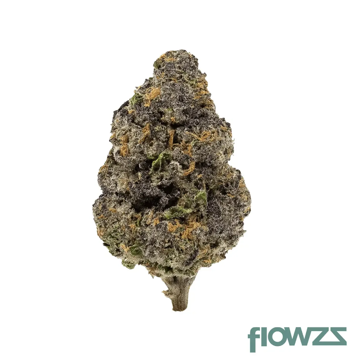 Cannamedical Indica forte ES Papaya Boom Produktfoto