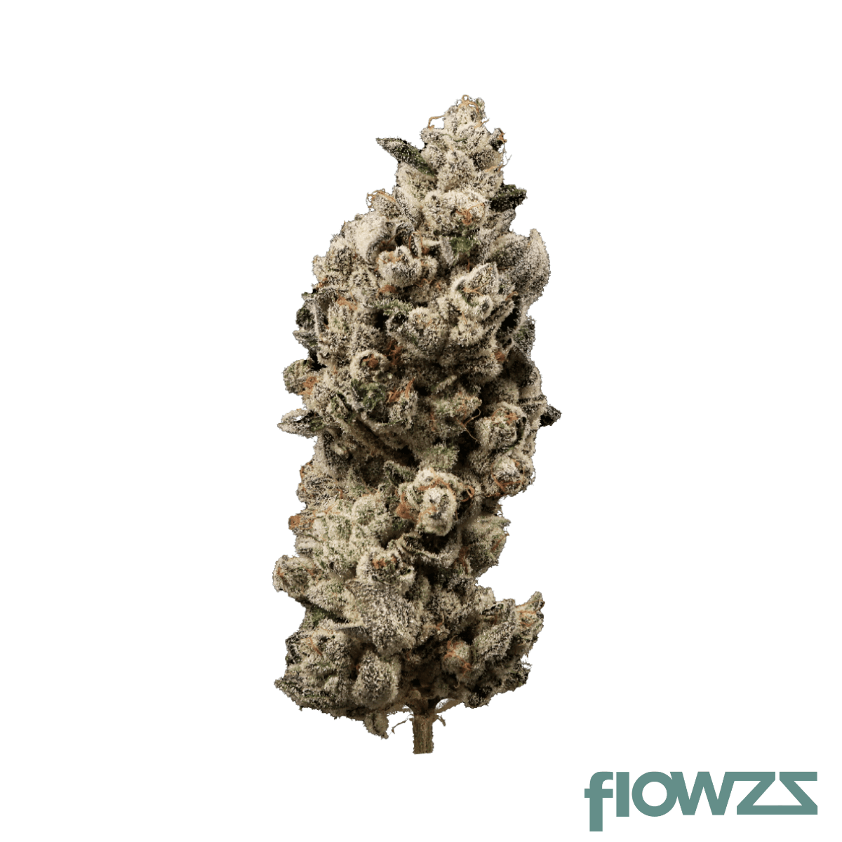 Good Supply THC25 BBD Blueberry Donuts 29 Produktfoto