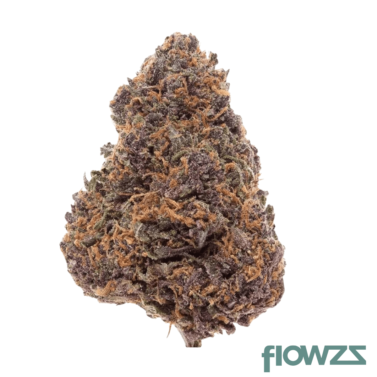 Canify 18/1 ES Ku. Forbidden Dream product photo