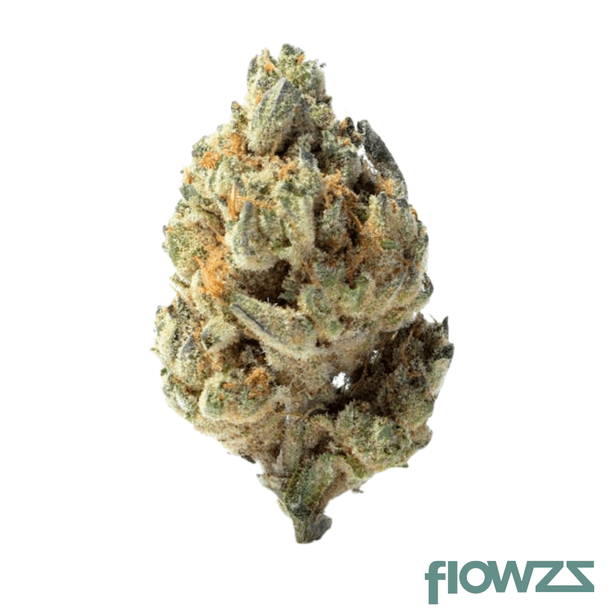 Good Supply THC25 BCR Beach Crasher Produktfoto