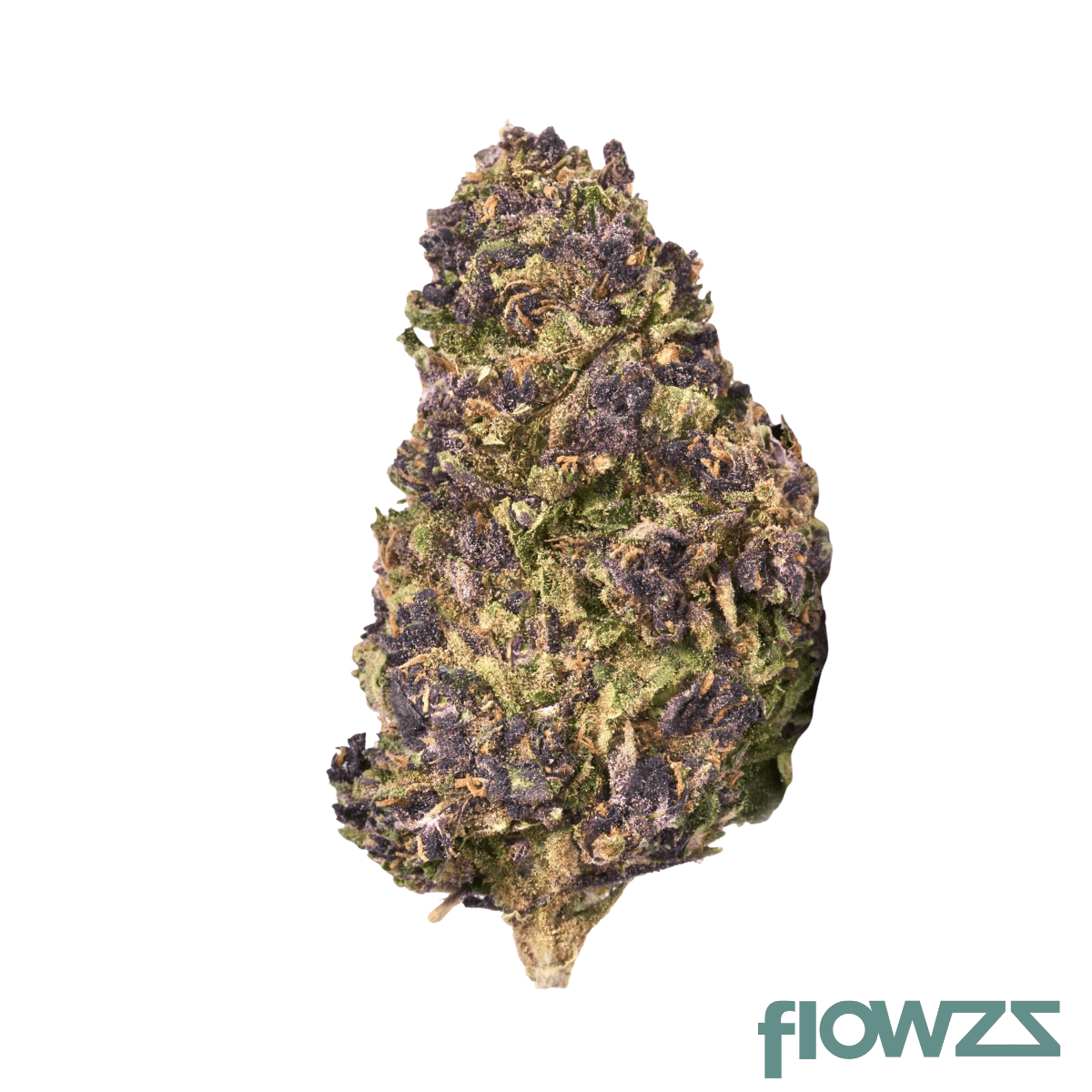 Pop up No. 20 Purple Pistachio Produktfoto