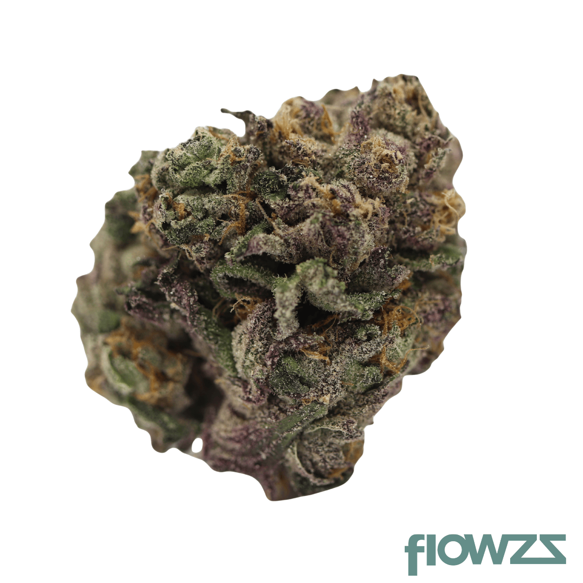 Tilray THC22 Spotlight Porto Biscuit Rntz I Produktfoto