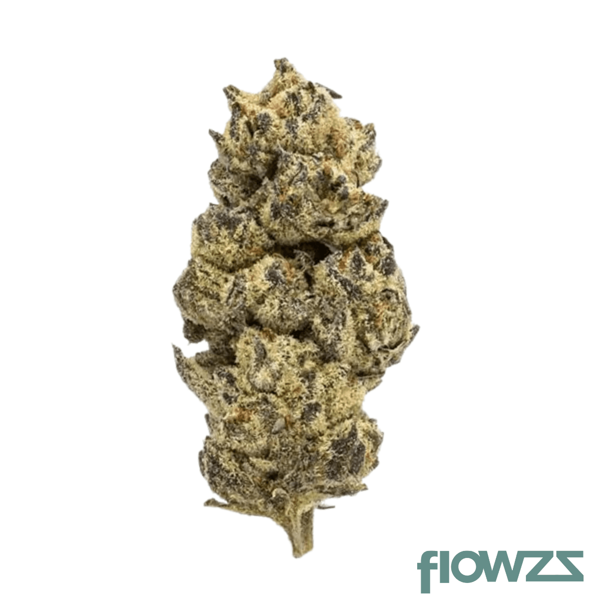 WIEZE BCM 28/1 Black Cherry Mint Produktfoto