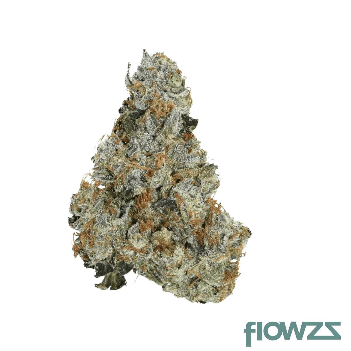 Daily Special 25/1 GMO OMG GMO Produktfoto