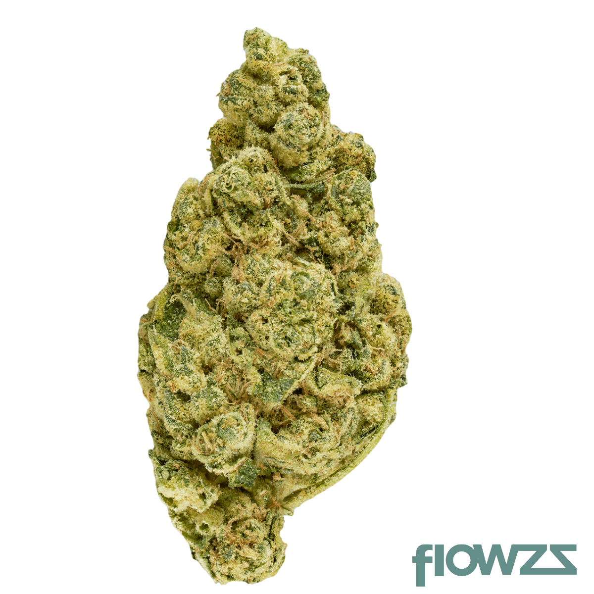Tilray THC22 Spotlight Porto Triangle Mints product photo