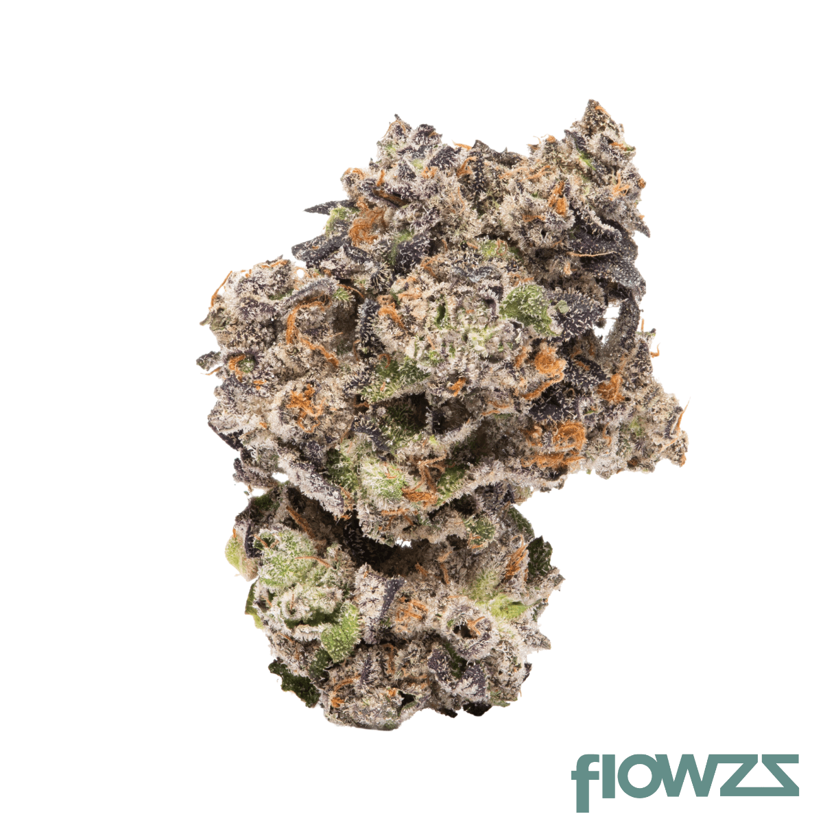 Cookies 2.0 Hawaiian Rain 28/1 CAN Produktfoto