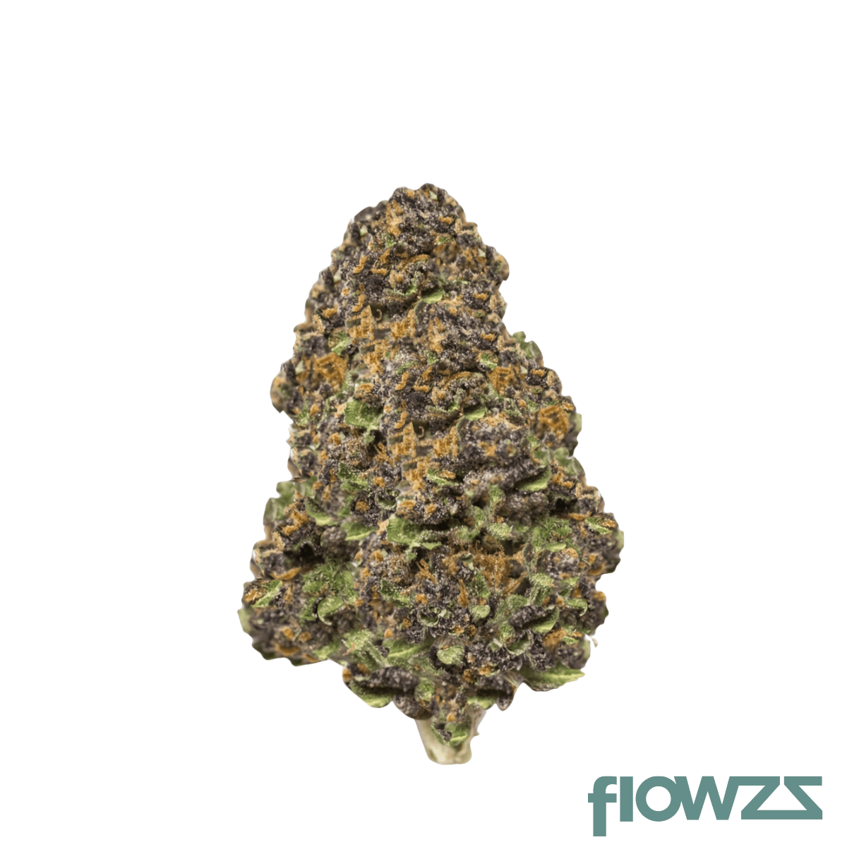 Cannamedical Hybrid Forte BC Lemon Cookies Produktfoto