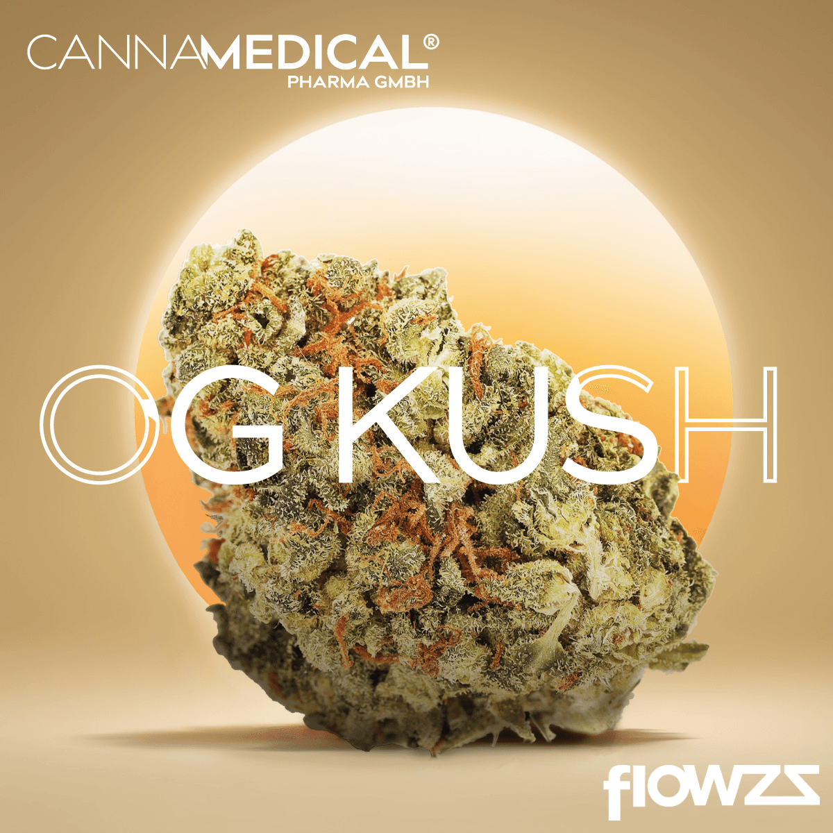 Cannamedical CM 24/1 OG Kush zum besten Preis