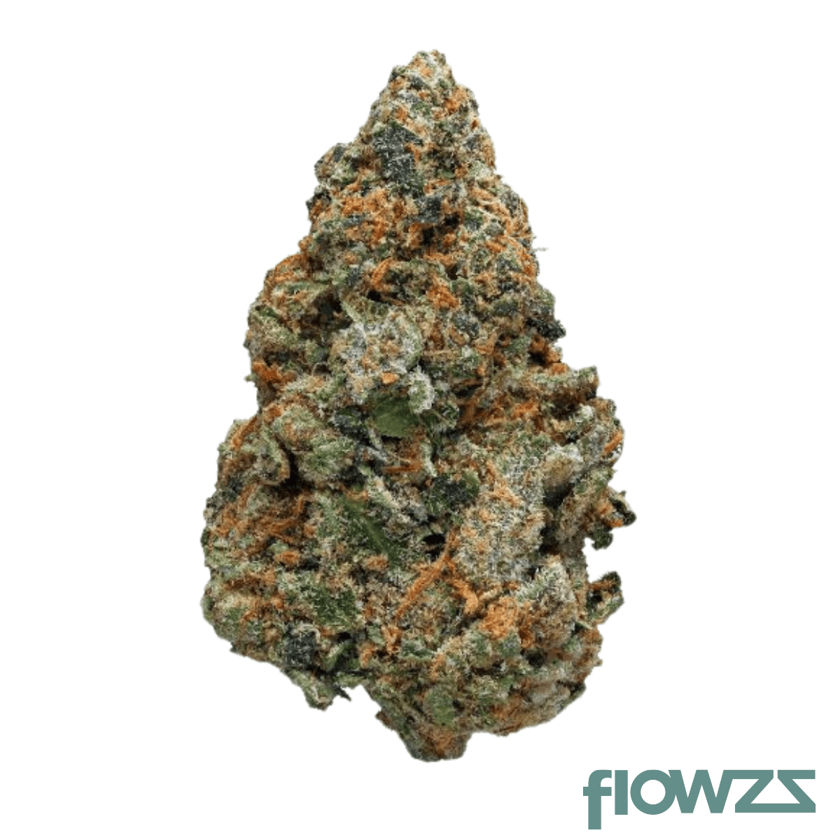NERO 24/1 BIZ GGE Green Gelato Produktfoto