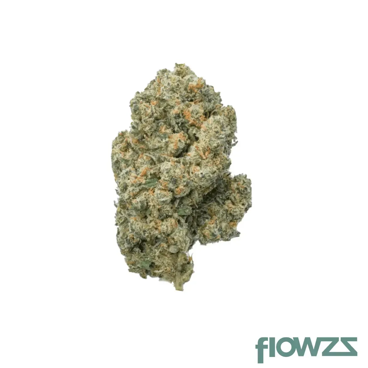 Balancial 24/1 PT S1 JH Jack Herer product photo