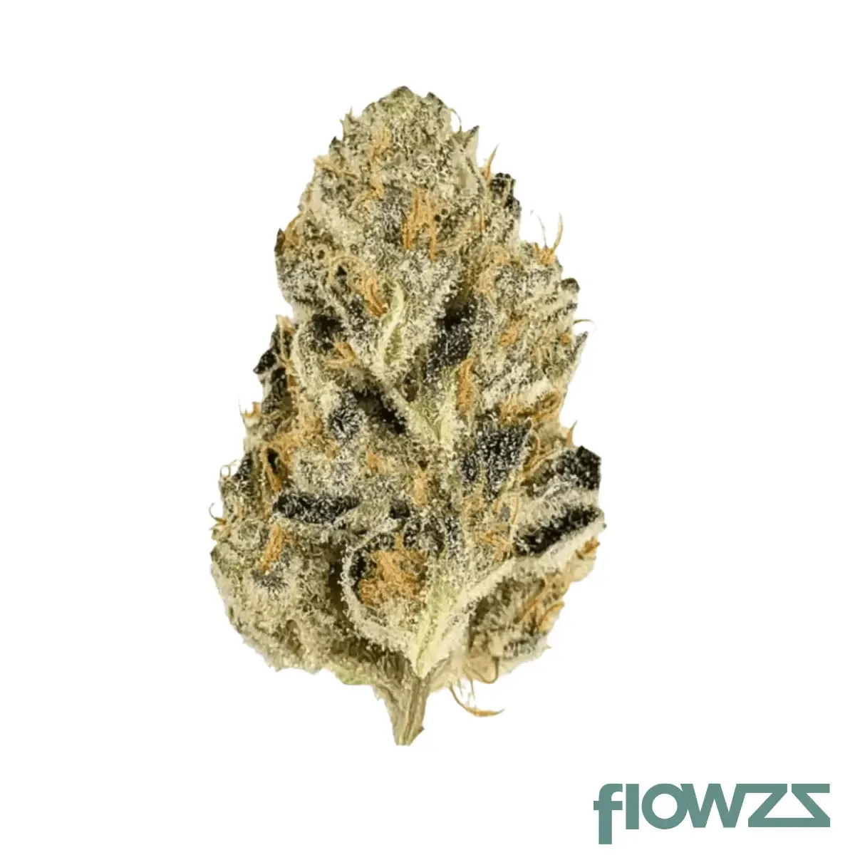 Mediprocan Frosty Peak 26/1 SO Produktfoto