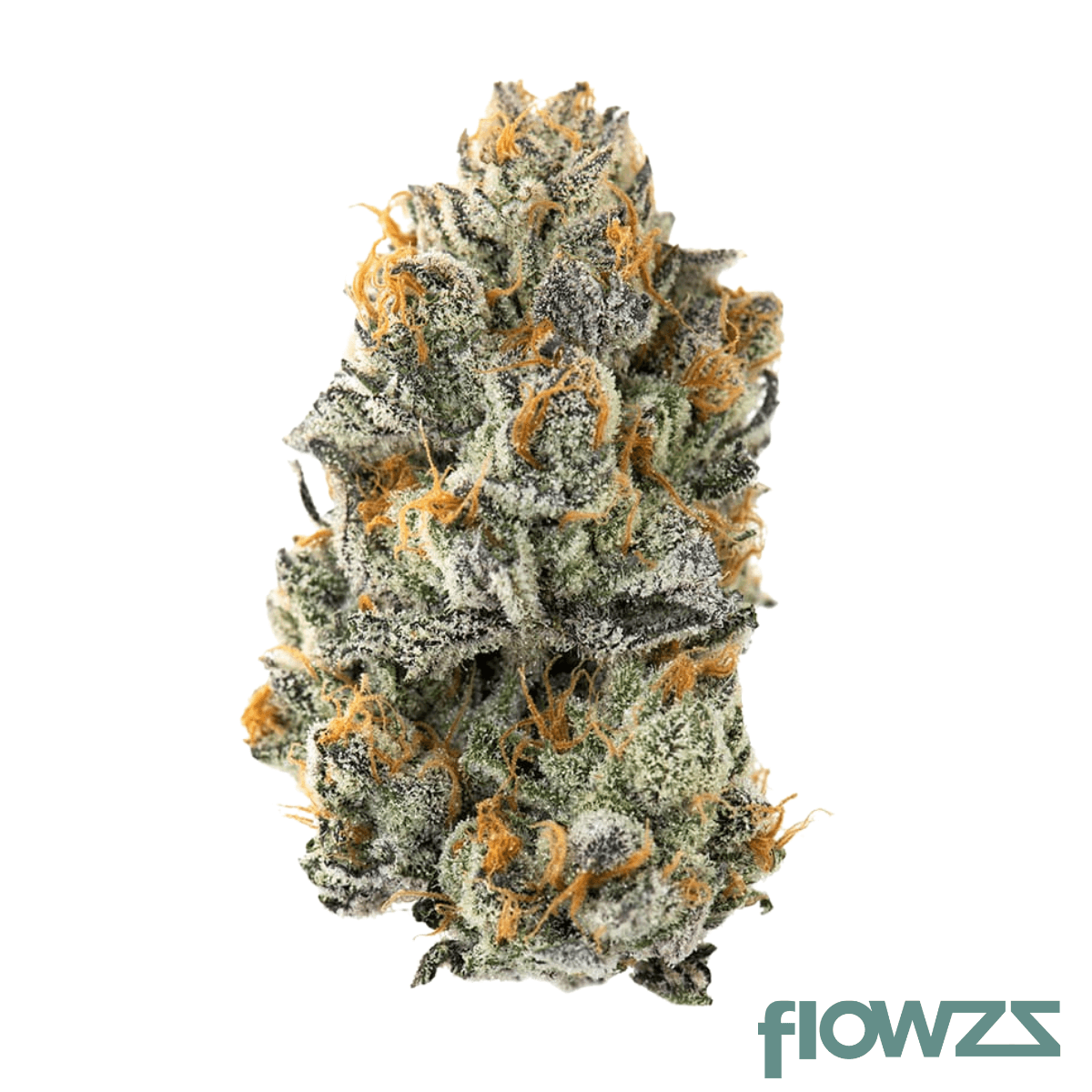 Amici 29/1 YHE Cookies Gelato YaHemi Produktfoto