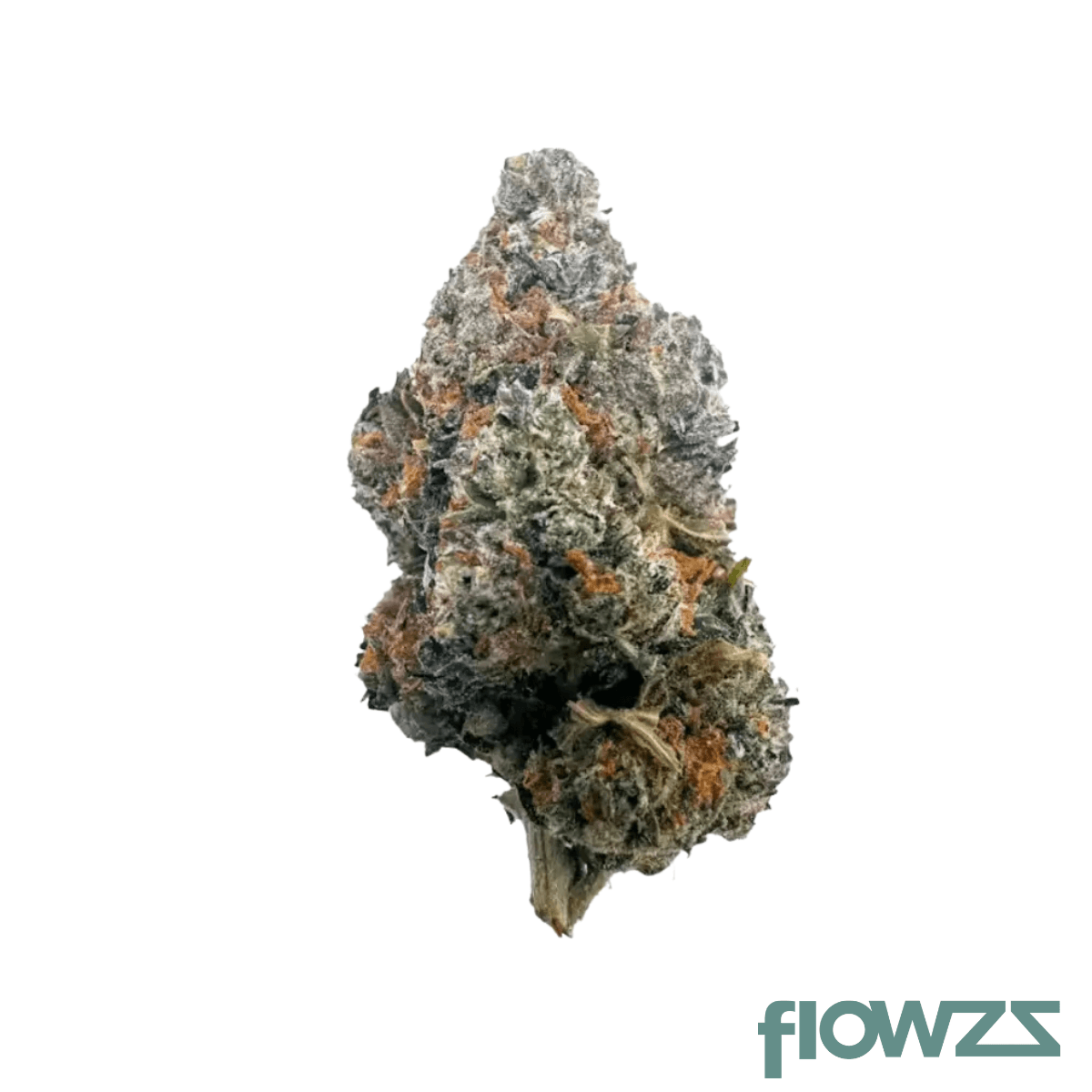 Luana 24/1 GSC Girl Scout Cookies Produktfoto