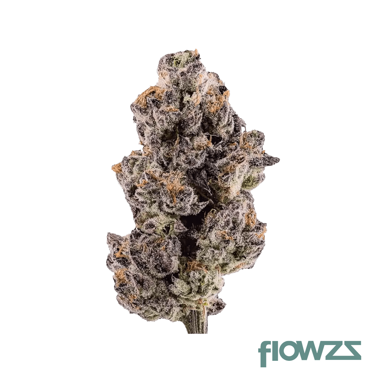 Good Supply THC 15 SPC Produktfoto