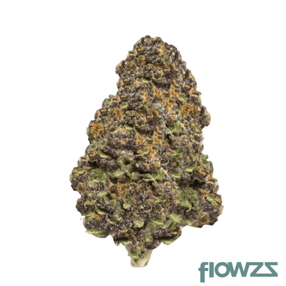 Cannamedical Hybrid Ultra BC Produktfoto