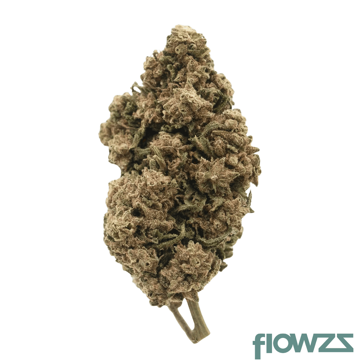 NERO 24/1 BIZ LSH Lemon Shining Silver Haze Produktfoto