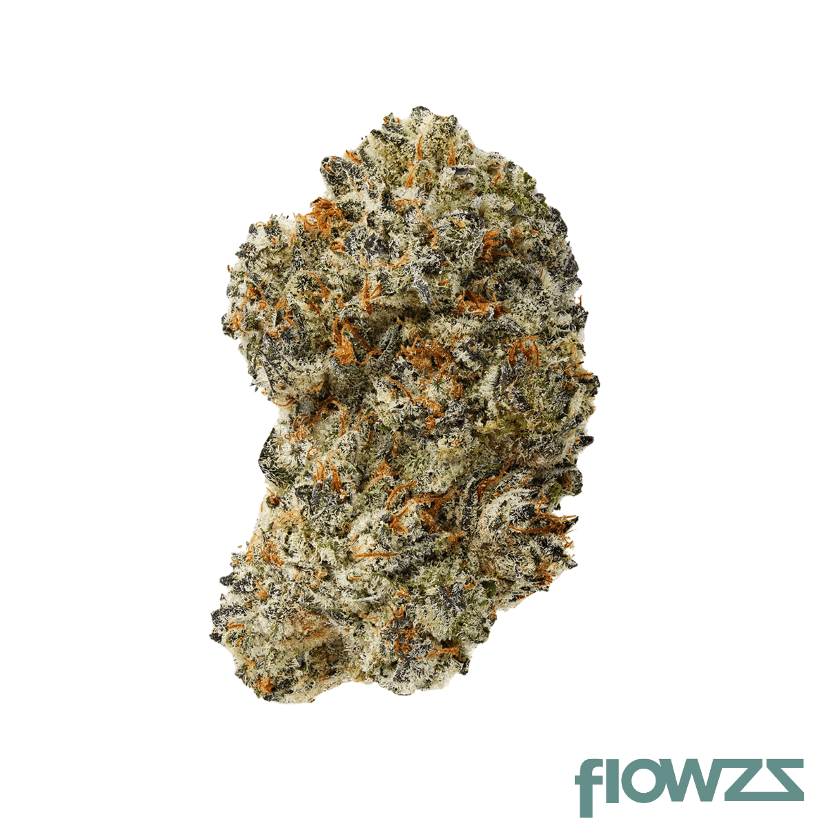 CannGo 26/1 WG Produktfoto
