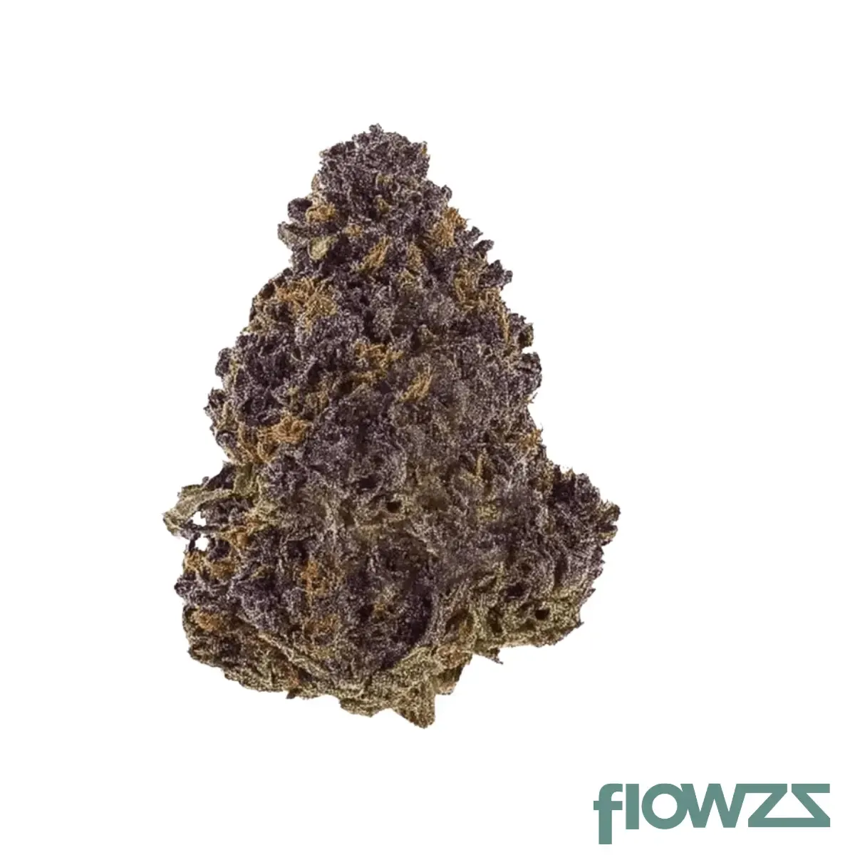 HiDealz 24/1 MS HUB Huckleberry Smalls Produktfoto