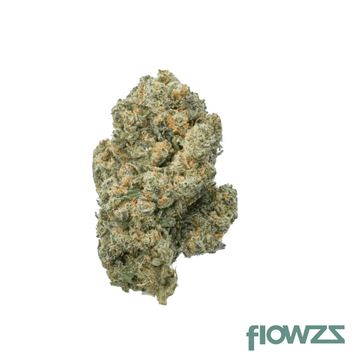 Cannamedical Sativa Forte SA Jack Herer Produktfoto