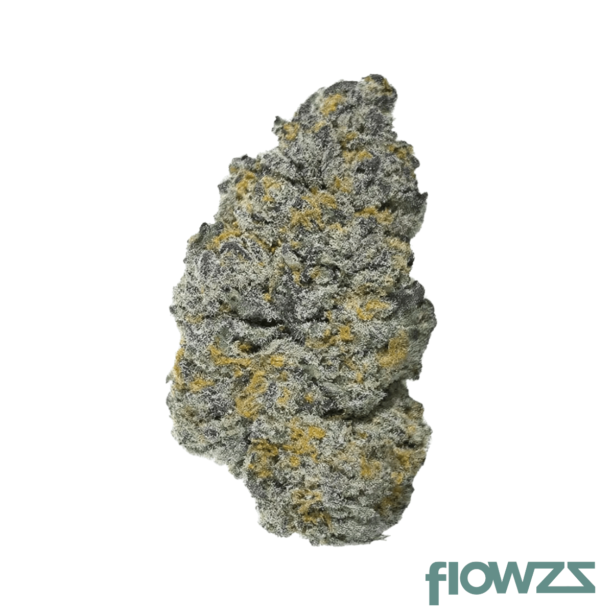 Soma OG 30/1 BCP Black Cherry Punch product photo