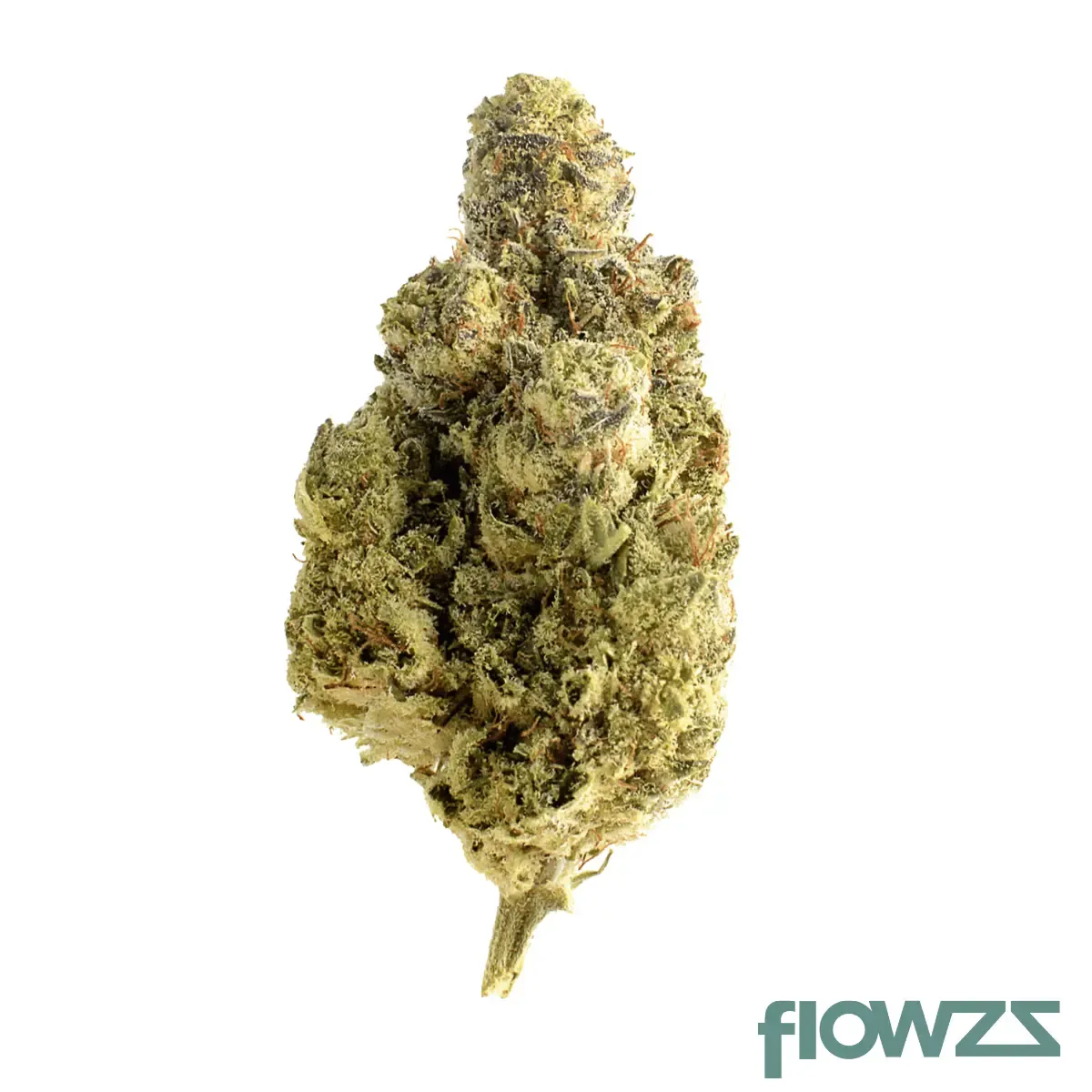 Slouu 25/1 PS3 CA OGK OG Kush Produktfoto