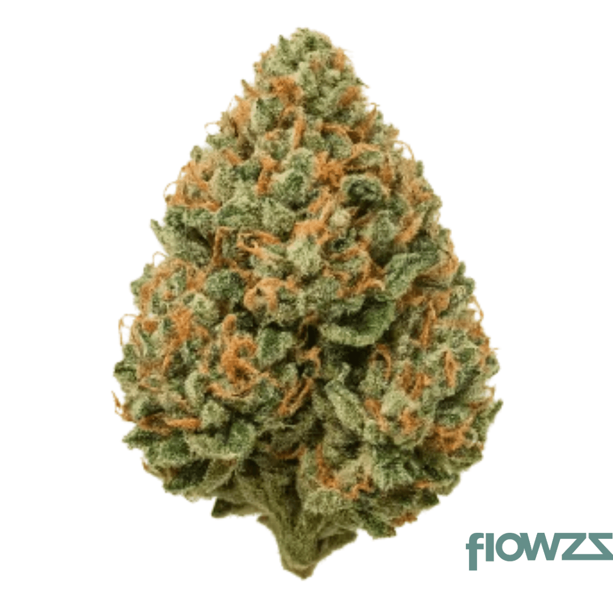 Medicus 21/1 EZA FCO Frosted Cookies Produktfoto