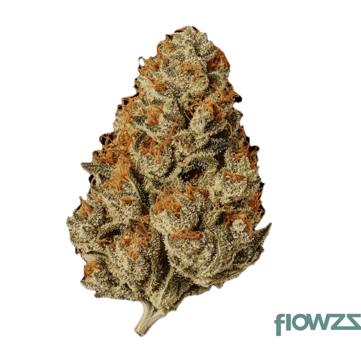 Cannamedical CM 28/1 OG Kush Produktfoto