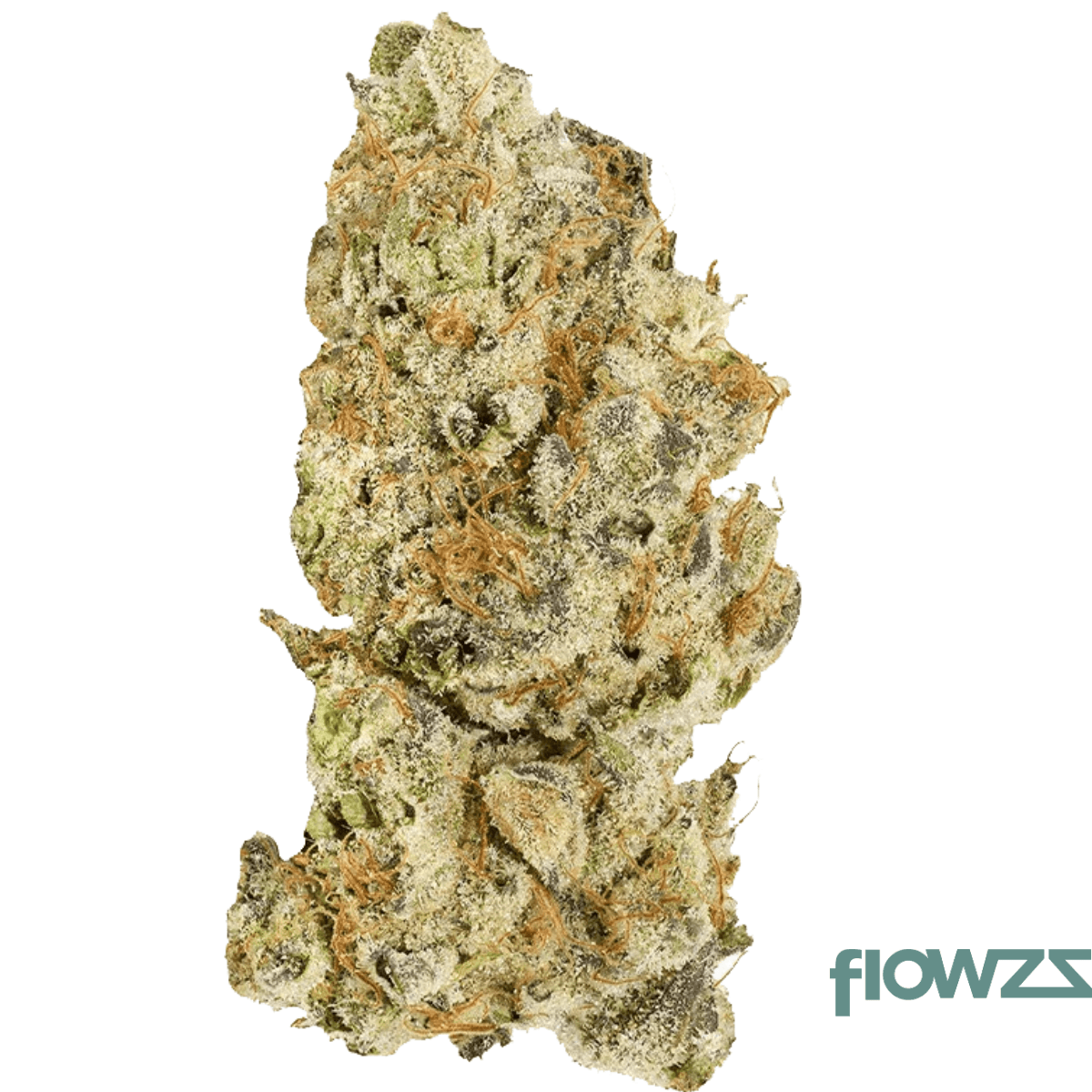 Tilray Craft THC22 PPV Platinum Pave 34 Produktfoto