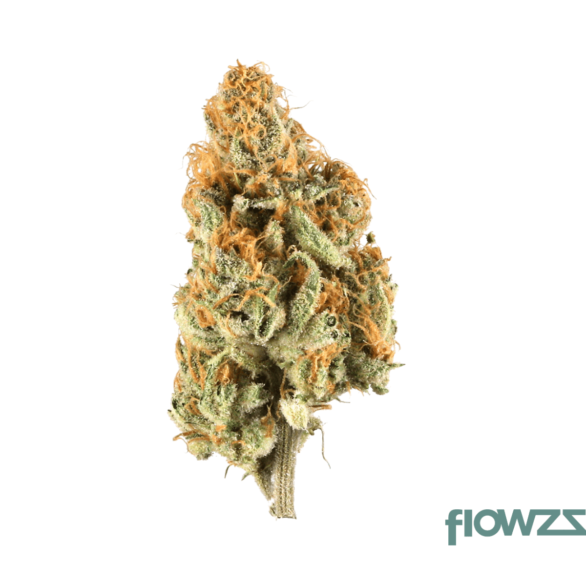 GT Strong Drop 27/1 Citron Cookies x Biker Kush Produktfoto