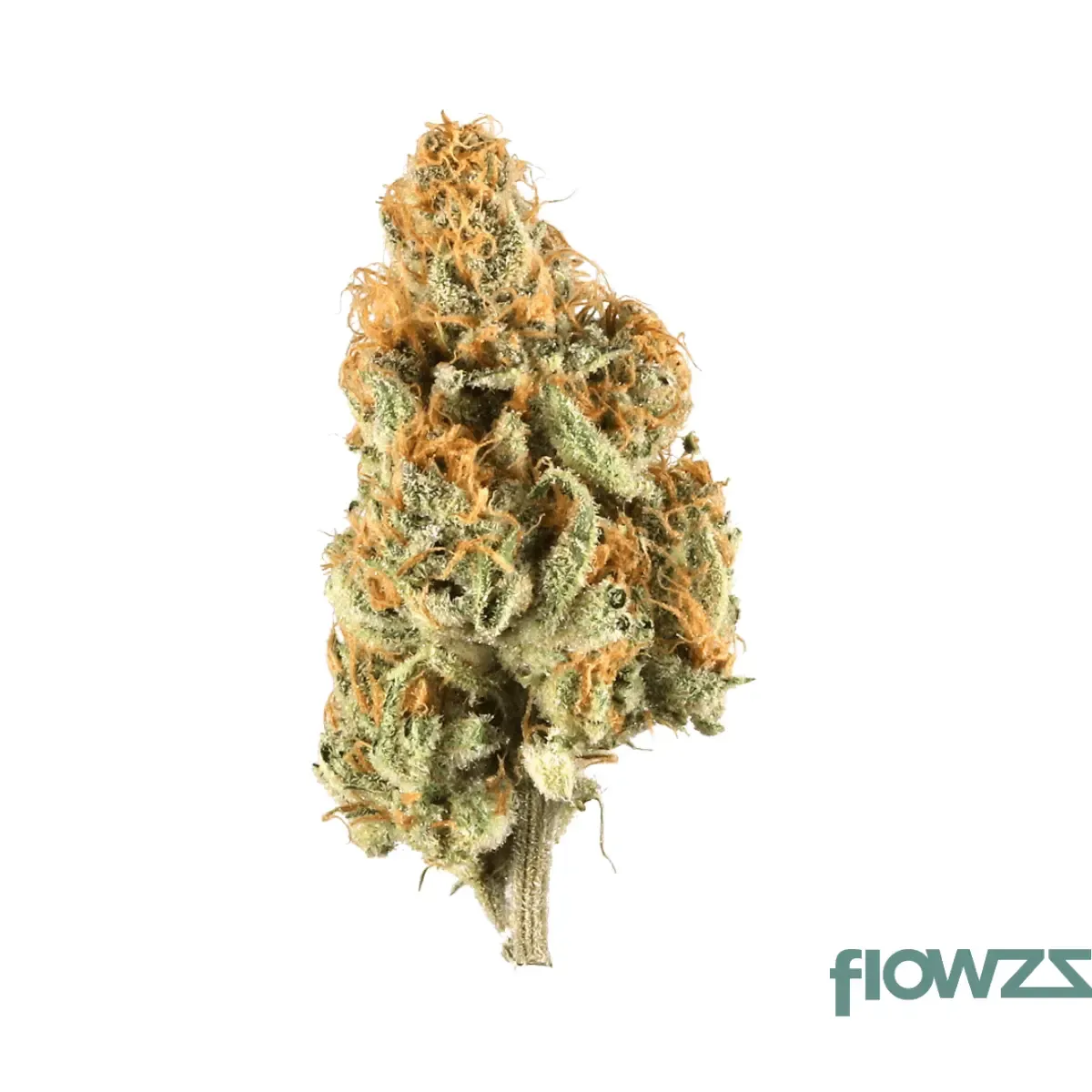 Demecan GT Lean Drop 22/1 Citron Cookies x Biker Kush Produktfoto