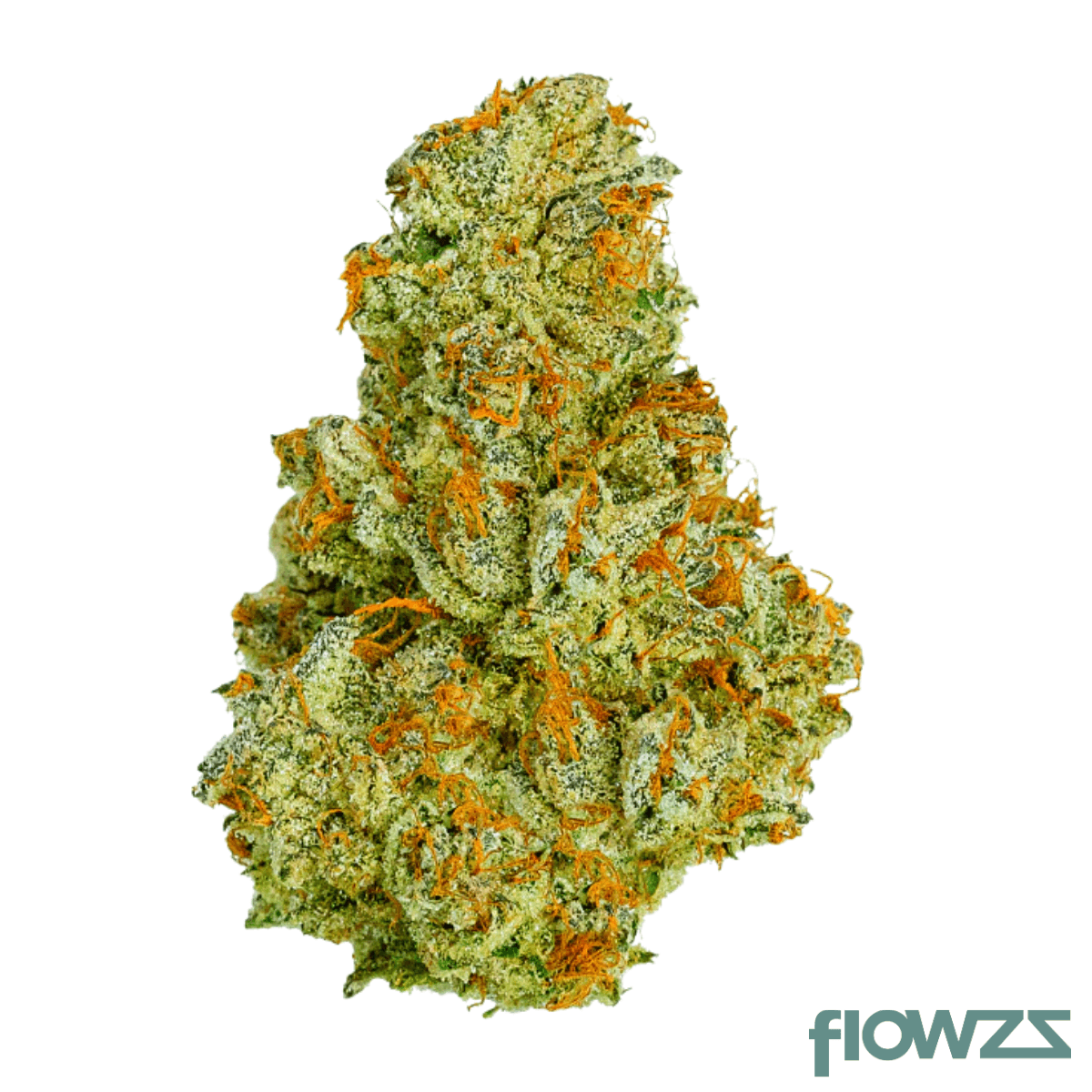 Medical Saints 21/1 USR Ultra Sour product photo