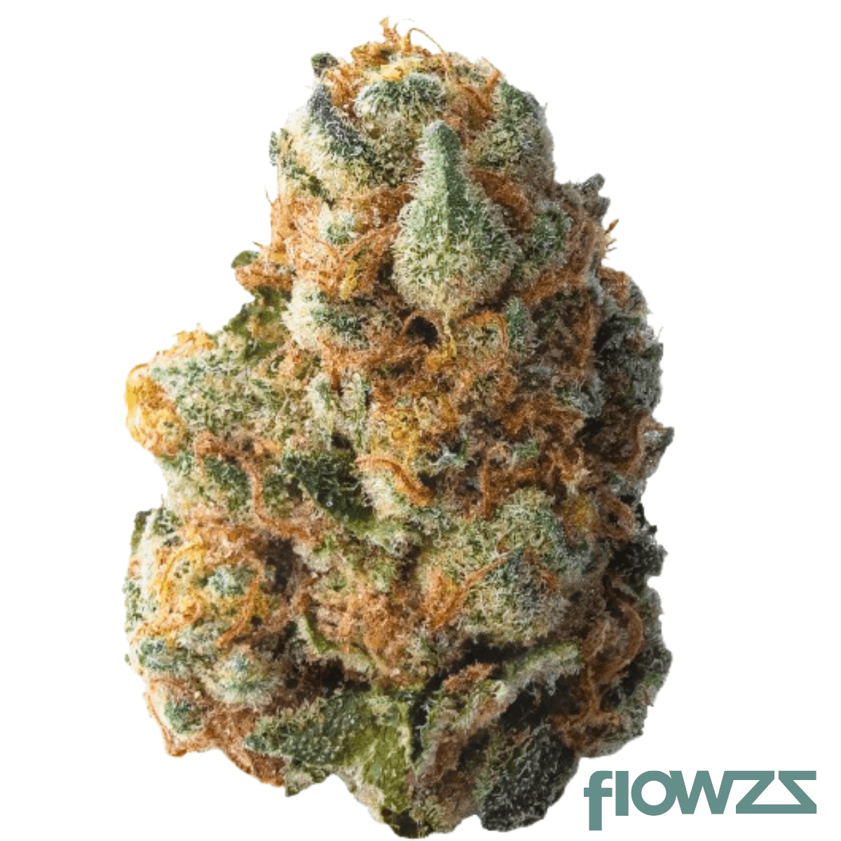 Peace Naturals 27/1 GC GMO Cookies Produktfoto