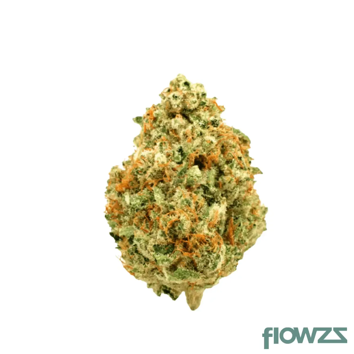 HiDealz 18/1 MS PSY Psyclone smalls product photo